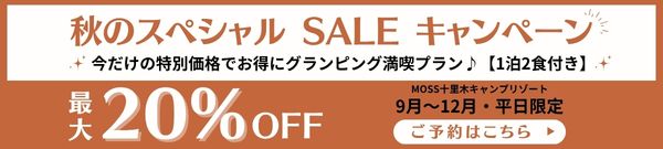 セール
